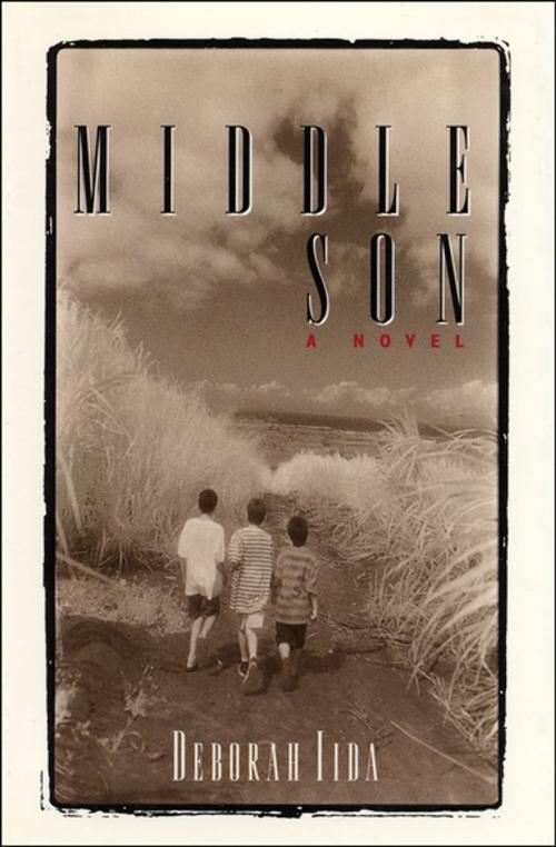 Cover of the book Middle Son by Deborah Iida, Workman Publishing