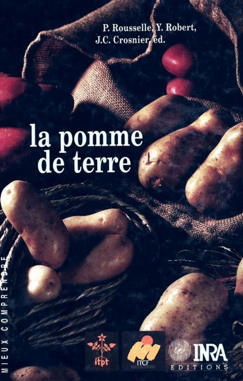 Cover of the book La pomme de terre by Yvon Robert, Patrick Rousselle, Jean-Claude Crosnier, Quae