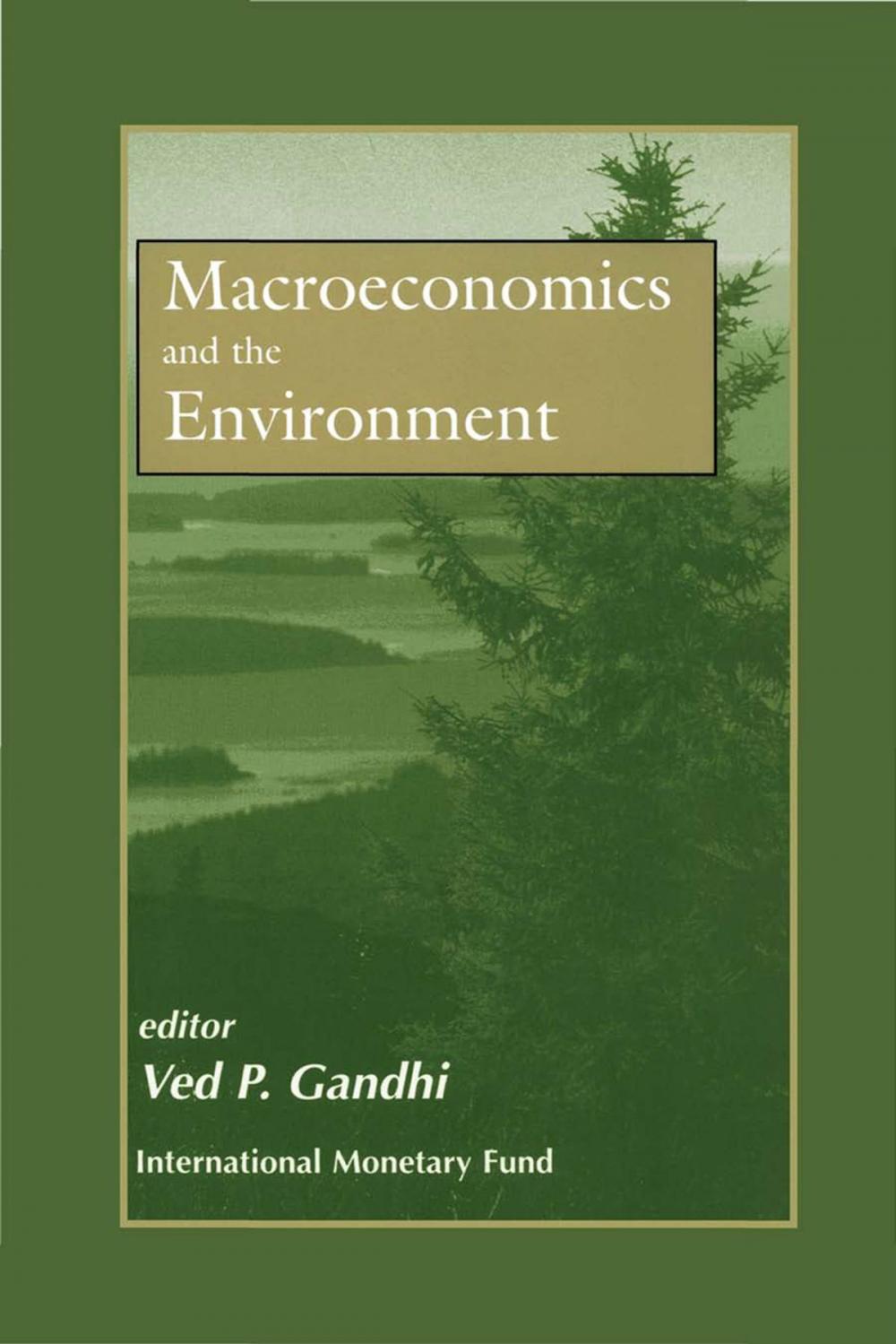 Big bigCover of Macroeconomics and the Environment