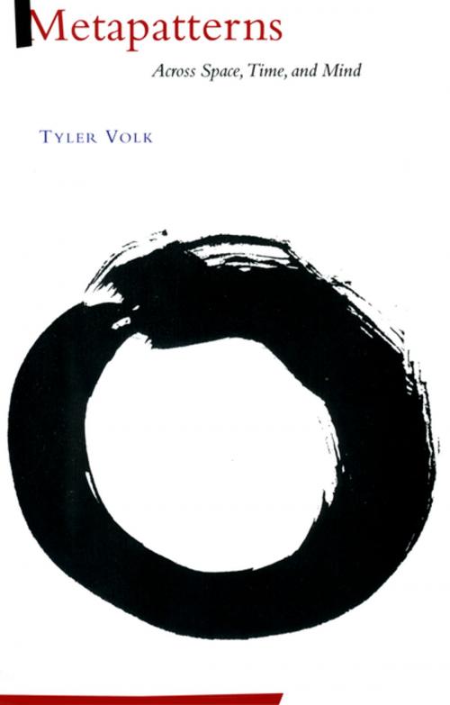 Cover of the book Metapatterns by Tyler Volk, Columbia University Press