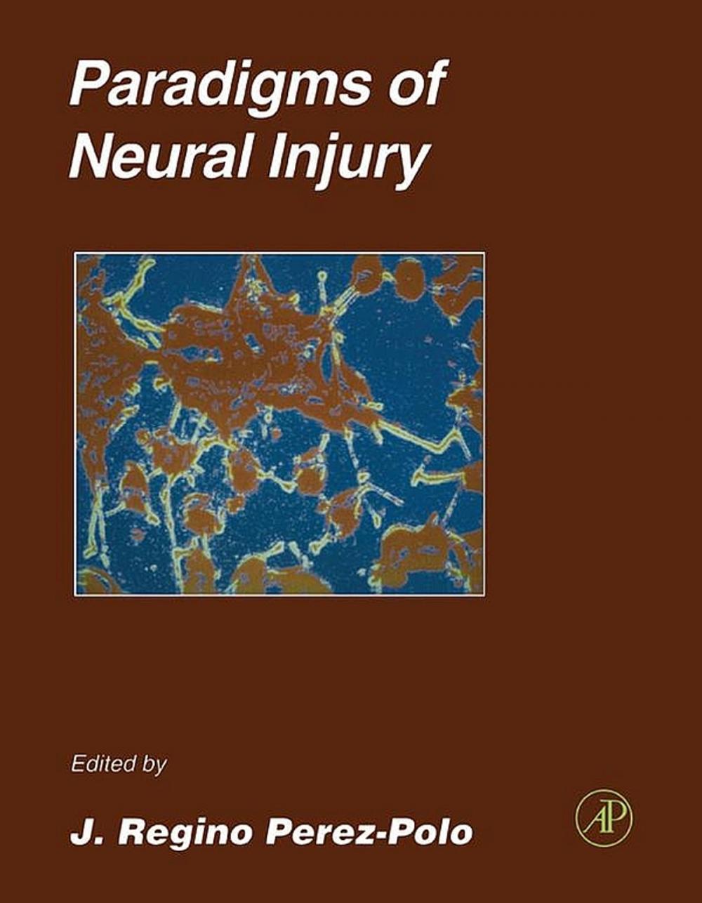 Big bigCover of Paradigms of Neural Injury