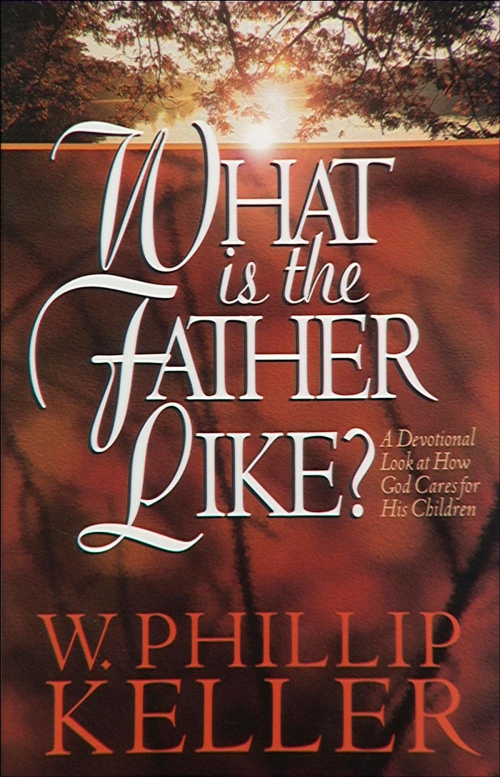 Big bigCover of What Is the Father Like?