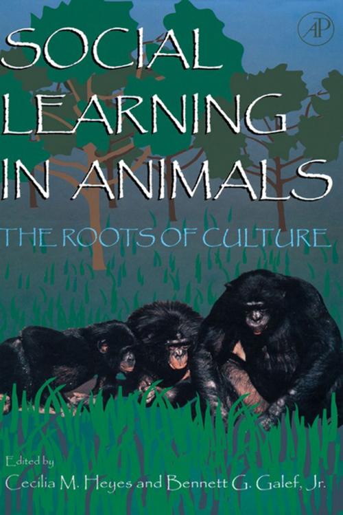 Cover of the book Social Learning In Animals by , Elsevier Science