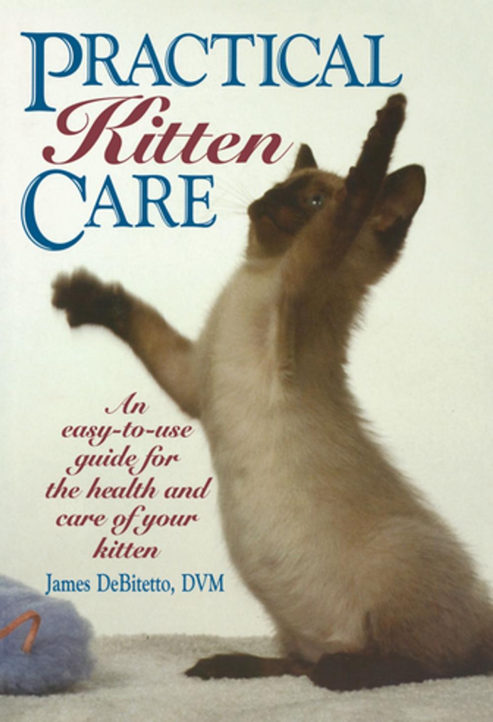 Big bigCover of Practical Kitten Care