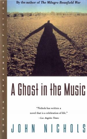 Cover of the book A Ghost in the Music by Chris Wolsey