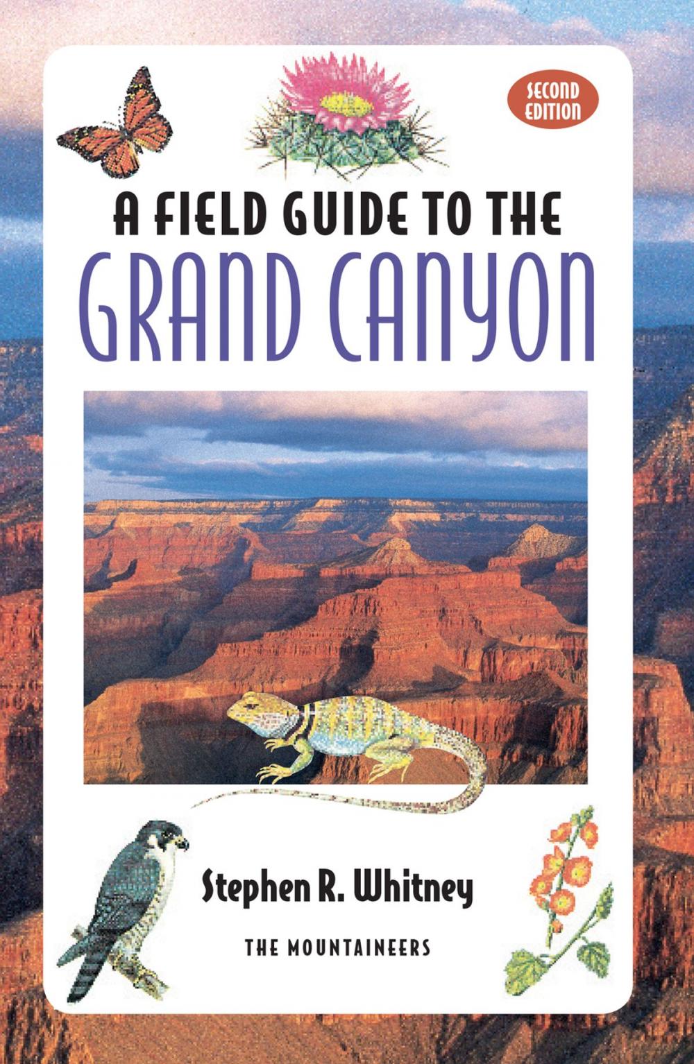 Big bigCover of Field Guide to the Grand Canyon