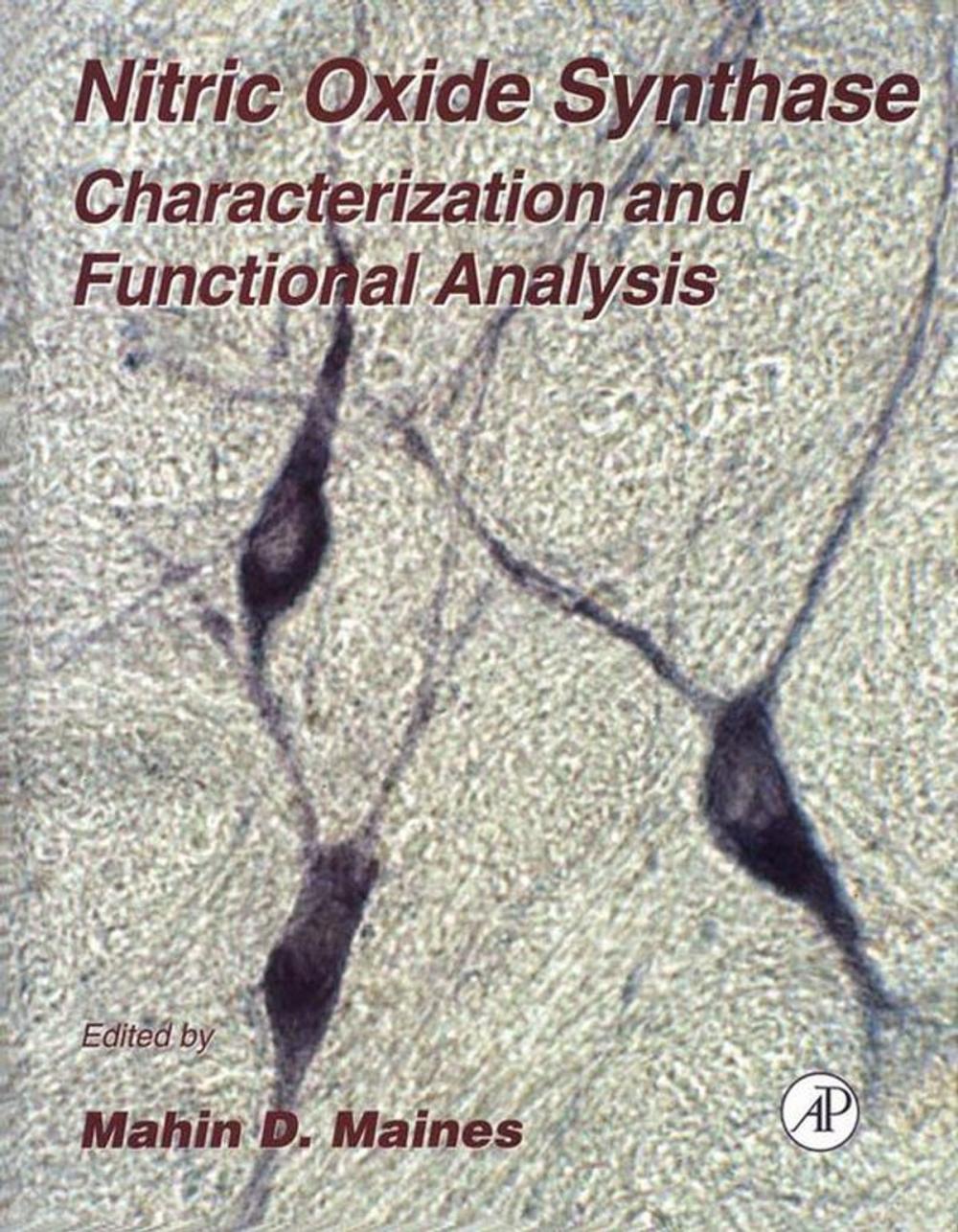 Big bigCover of Nitric Oxide Synthase: Characterization and Functional Analysis