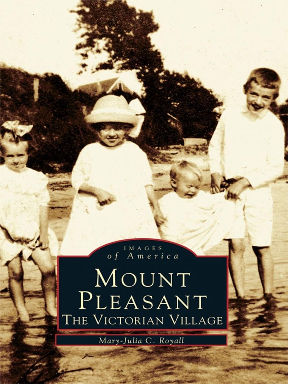 Big bigCover of Mount Pleasant