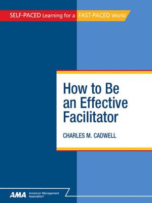 Cover of the book How To Be An Effective Facilitator: EBook Edition by Stephen Woessner