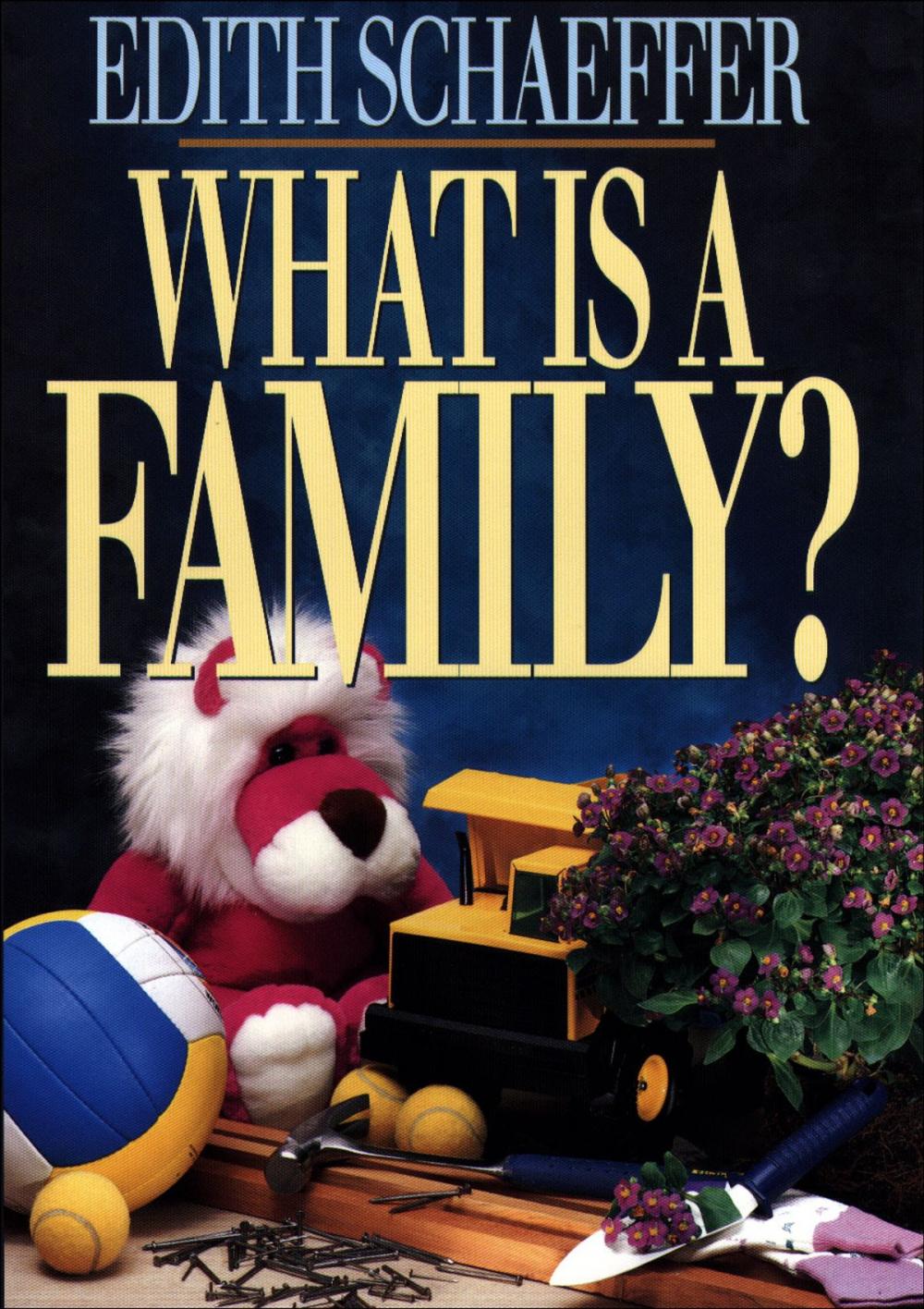 Big bigCover of What is a Family?