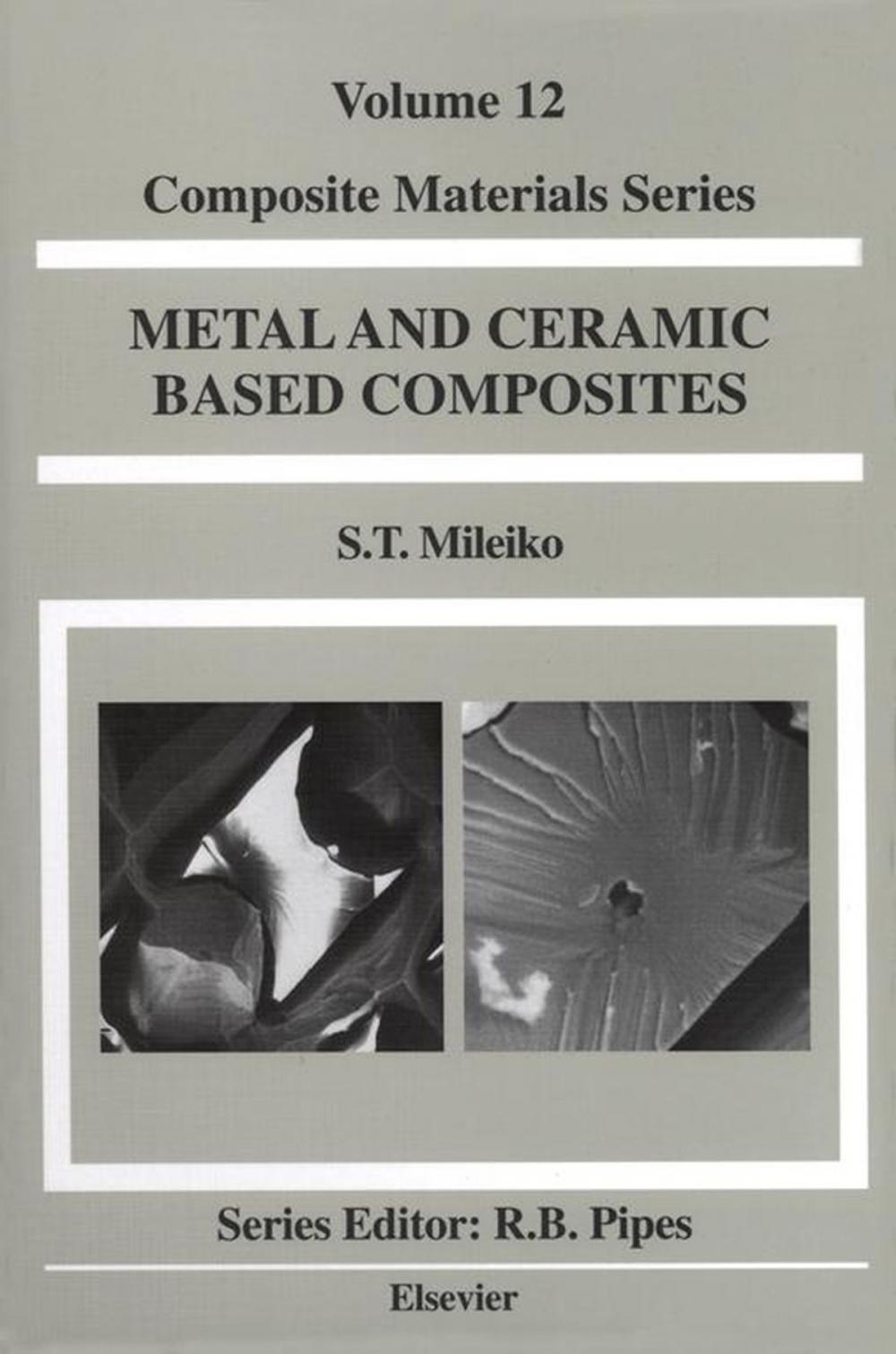 Big bigCover of Metal and Ceramic Based Composites