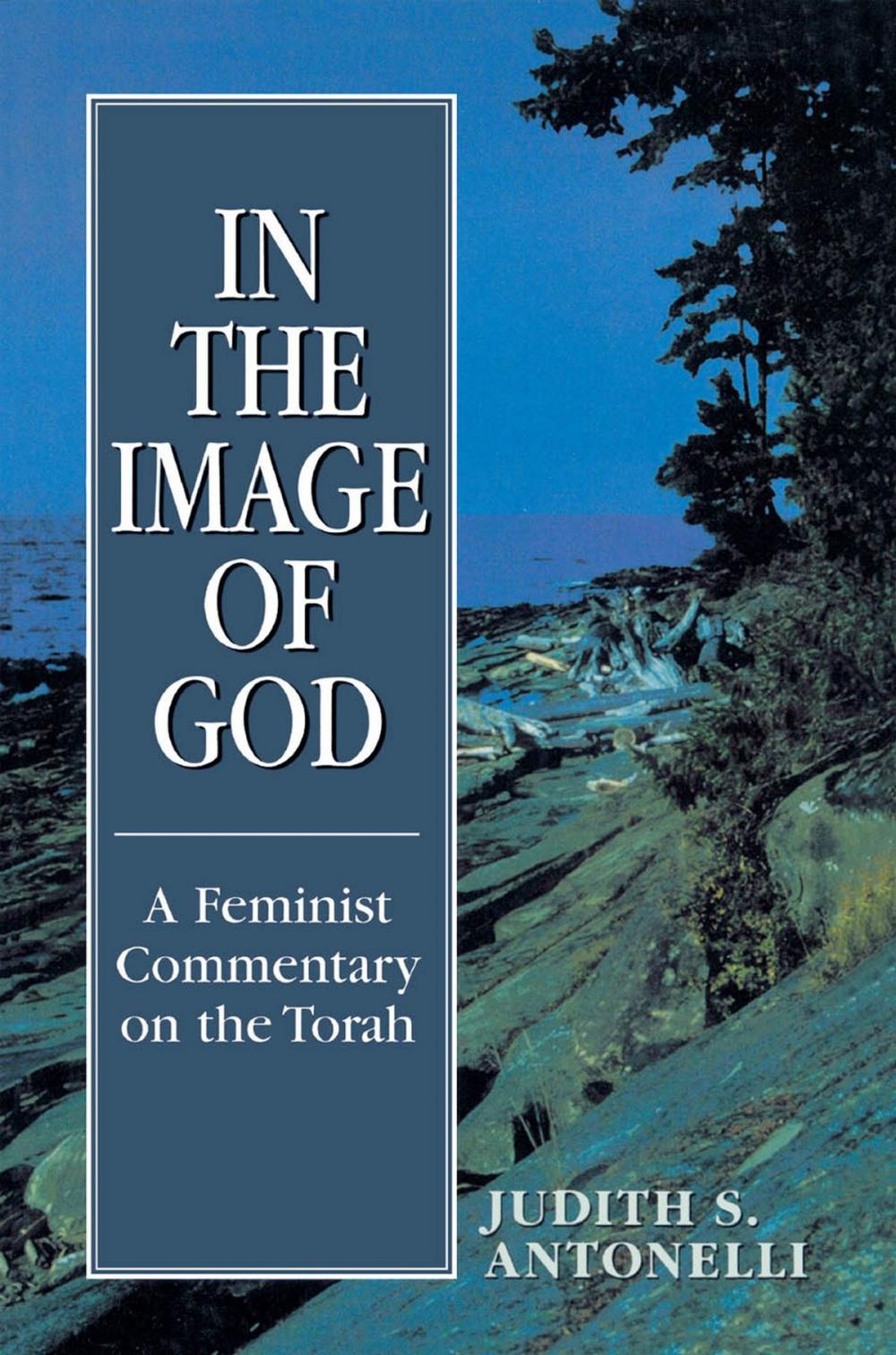 Big bigCover of In the Image of God