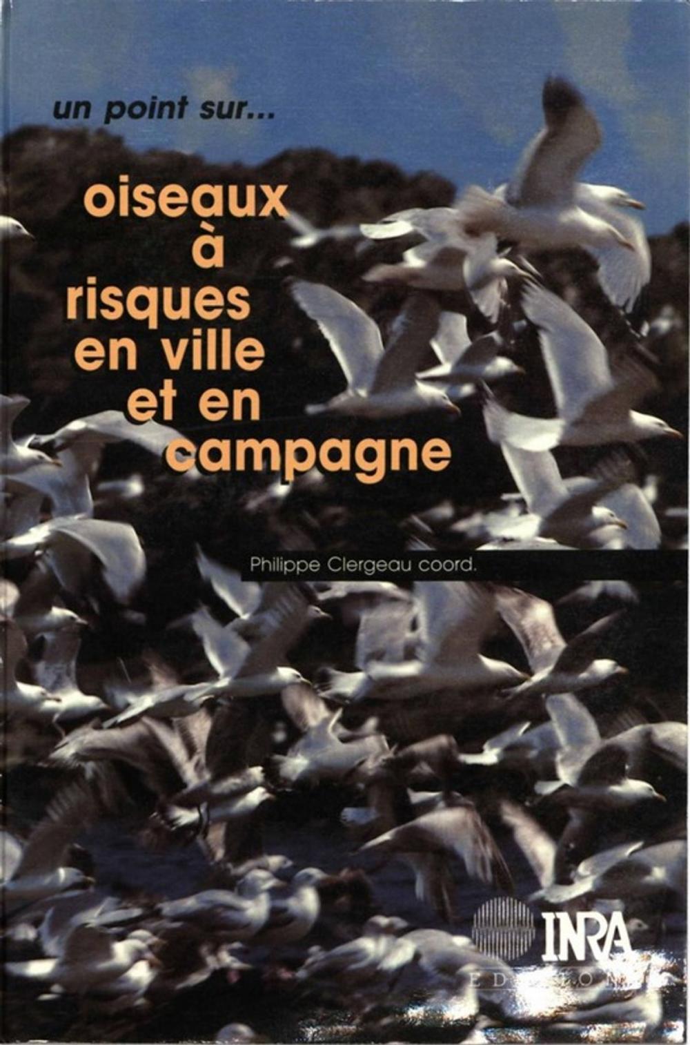 Big bigCover of Oiseaux à risques en ville et en campagne