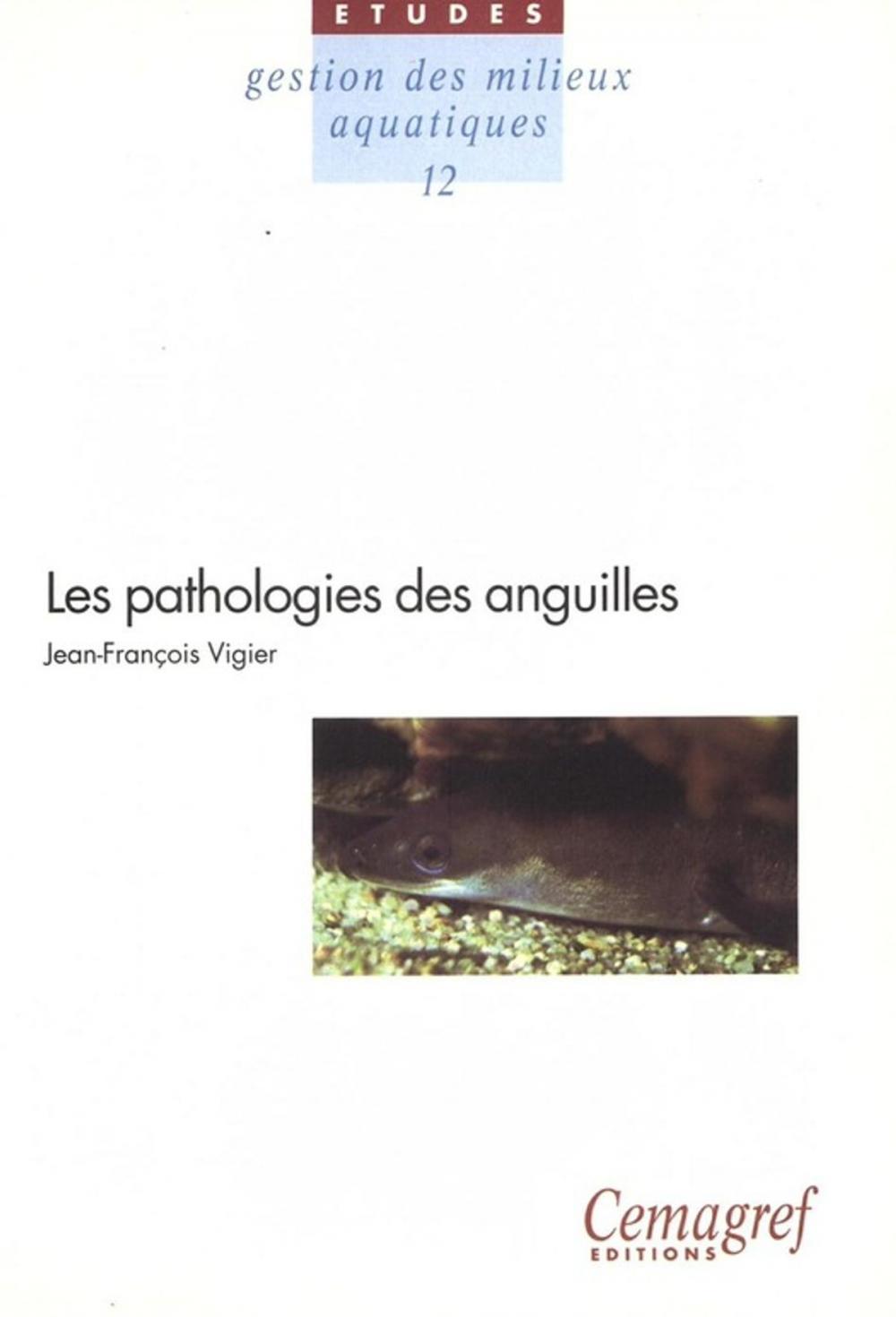 Big bigCover of Les pathologies des anguilles