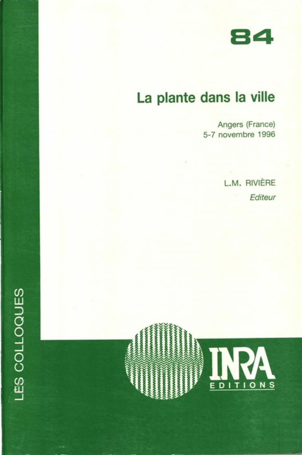 Big bigCover of La plante dans la ville