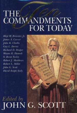 Cover of the book The Ten Commandments for Today by Jack M. Lyon