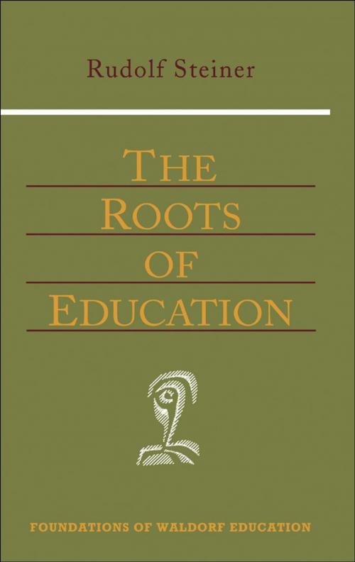 Cover of the book The Roots of Education by Rudolf Steiner, SteinerBooks