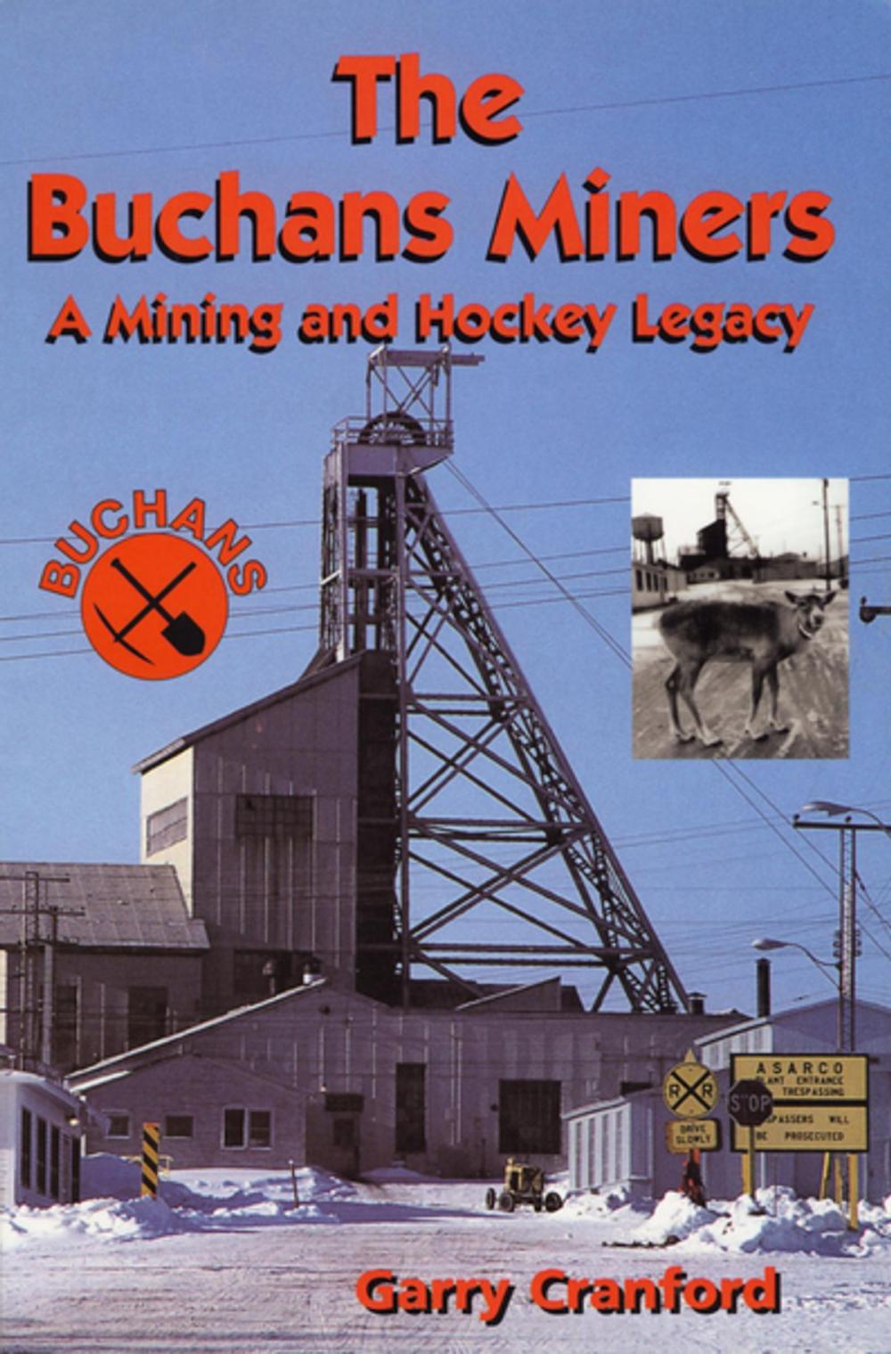Big bigCover of The Buchans Miners