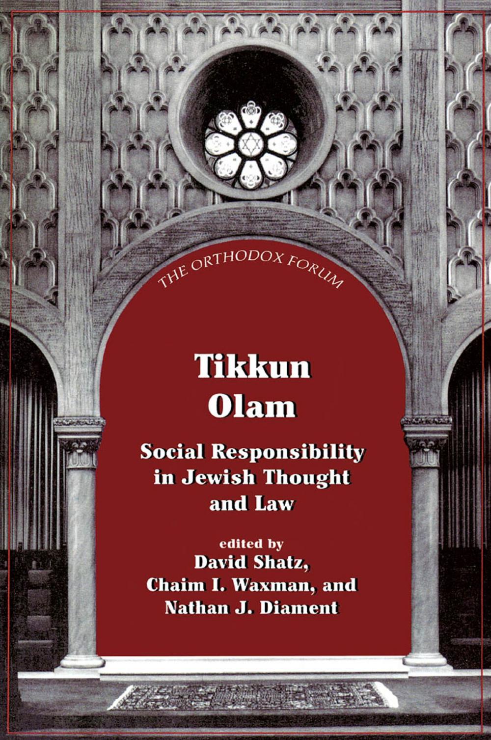 Big bigCover of Tikkun Olam