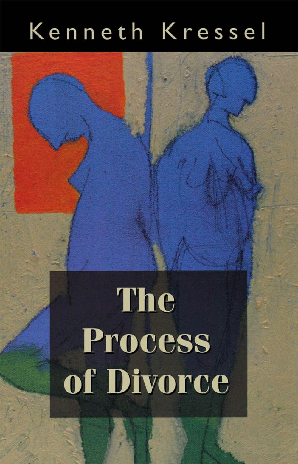 Big bigCover of The Process of Divorce