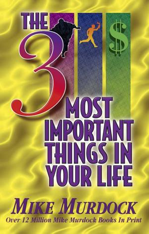 Cover of the book The 3 Most Important Things In Your Life by John Finkelde