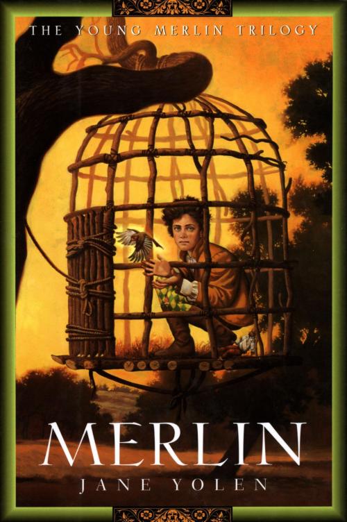 Cover of the book Merlin by Jane Yolen, HMH Books