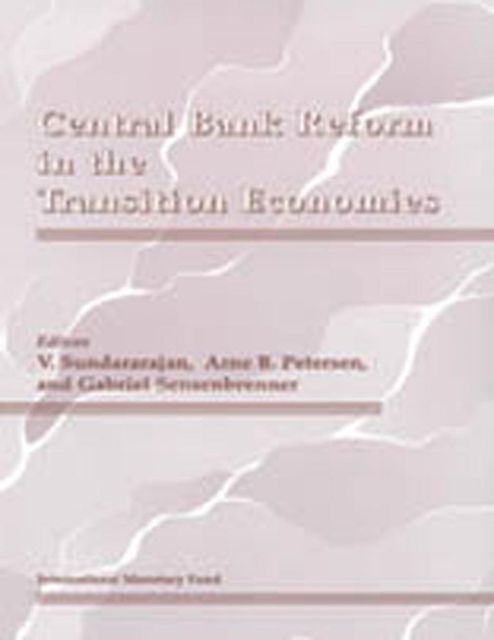 Big bigCover of Central Bank Reform in the Transition Economies