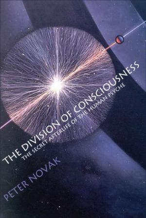 Cover of the book The Division of Consciousness: The Secret Afterlife of the Human Psyche by Annie Kagan