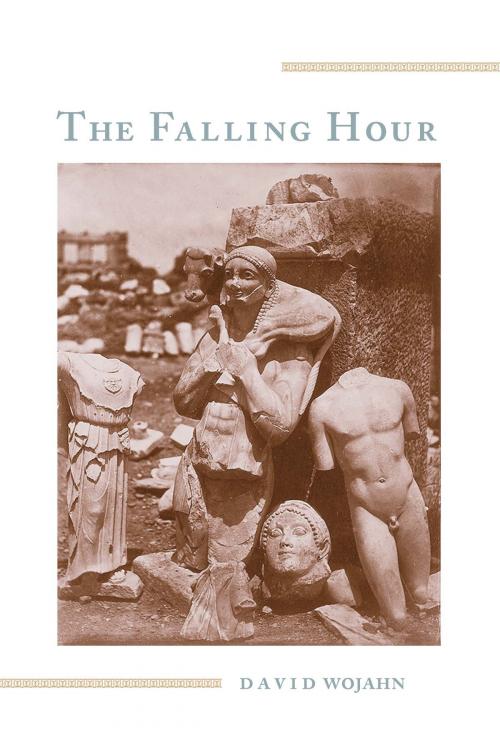 Cover of the book The Falling Hour by David Wojahn, University of Pittsburgh Press