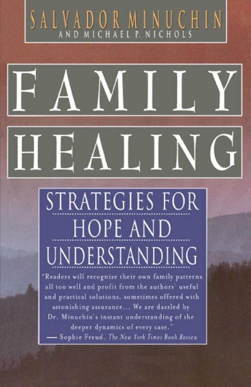 Cover of the book Family Healing by Salvador Minuchin, Michael P. Nichols, Free Press