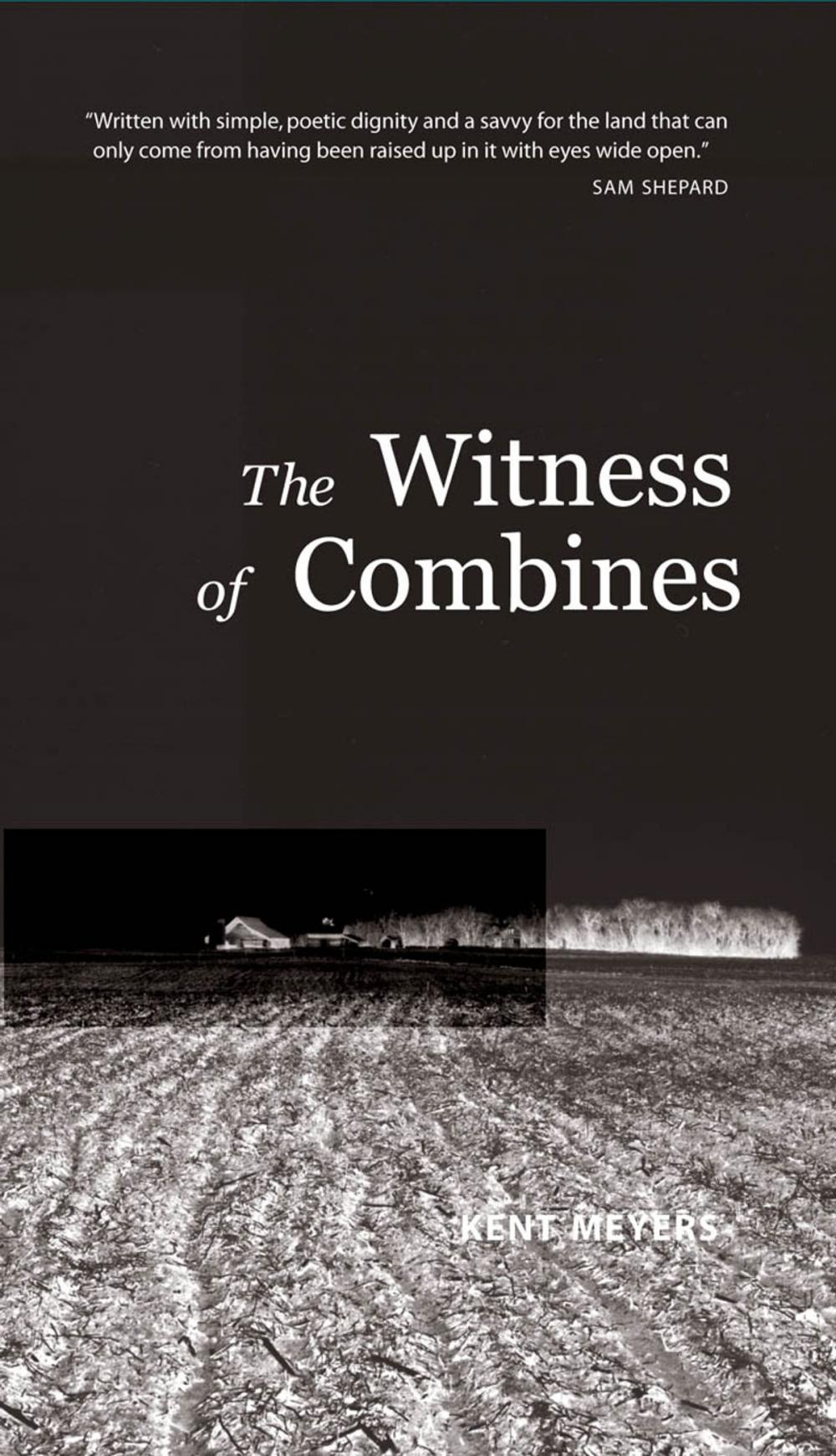 Big bigCover of Witness Of Combines