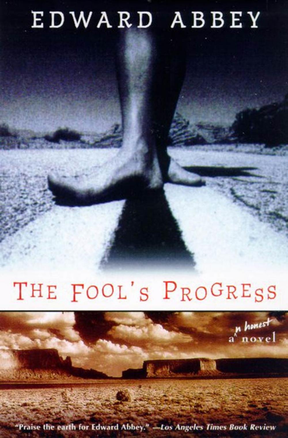 Big bigCover of The Fool's Progress