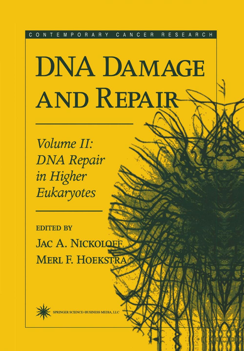 Big bigCover of DNA Damage and Repair