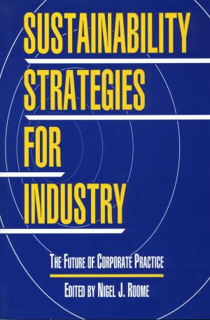 bigCover of the book Sustainability Strategies for Industry by 