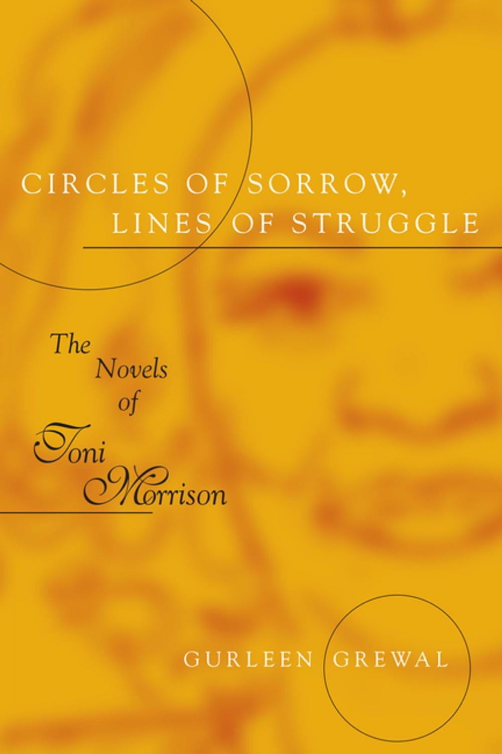 Big bigCover of Circles of Sorrow, Lines of Struggle