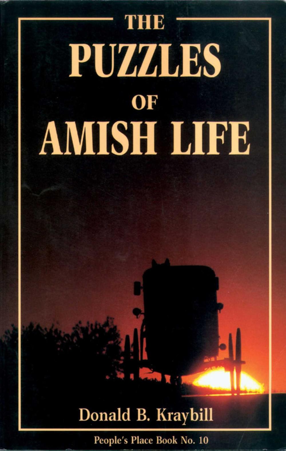 Big bigCover of Puzzles of Amish Life