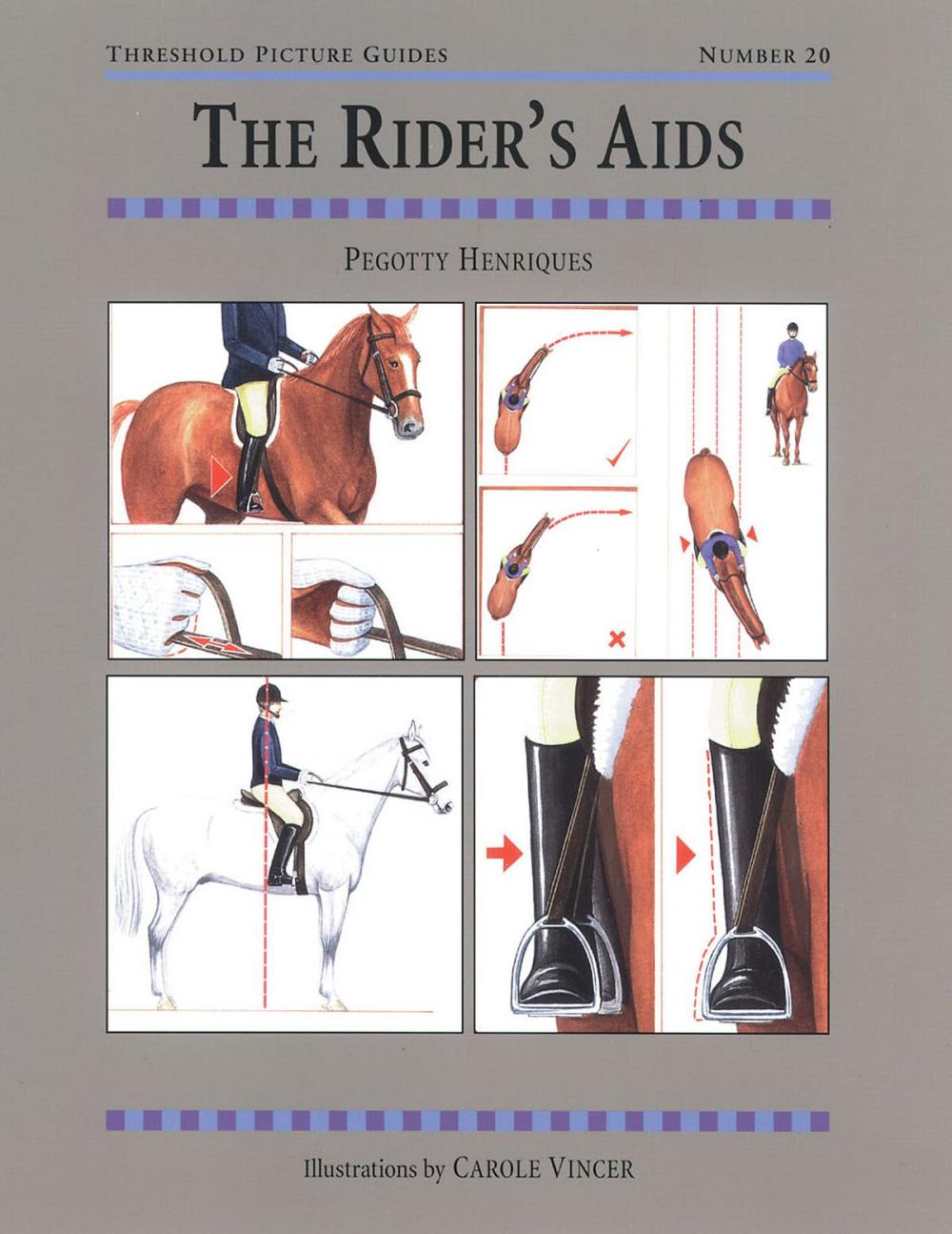 Big bigCover of The RIDER'S AIDS