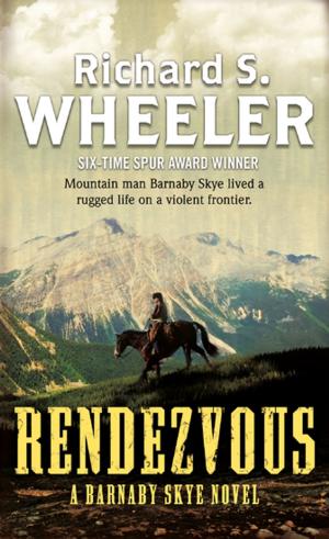 Cover of the book Rendezvous: A Barnaby Skye Novel by Andrew M. Greeley