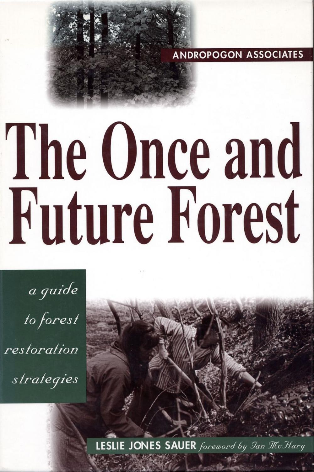 Big bigCover of The Once and Future Forest