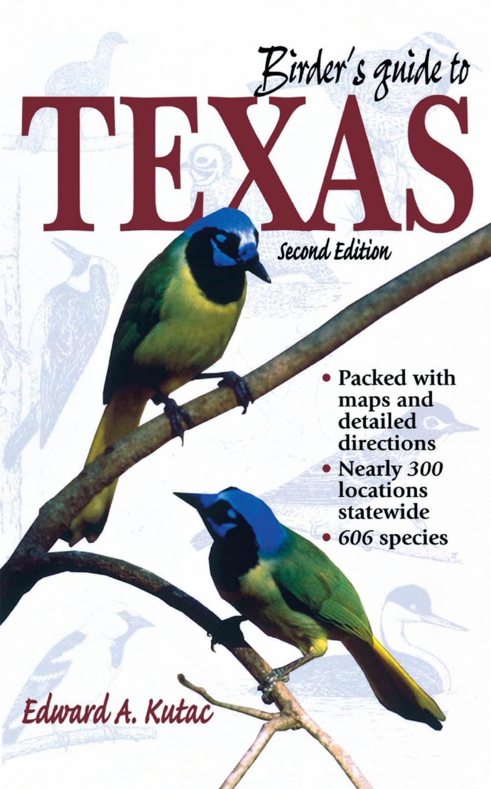 Big bigCover of Birder's Guide to Texas