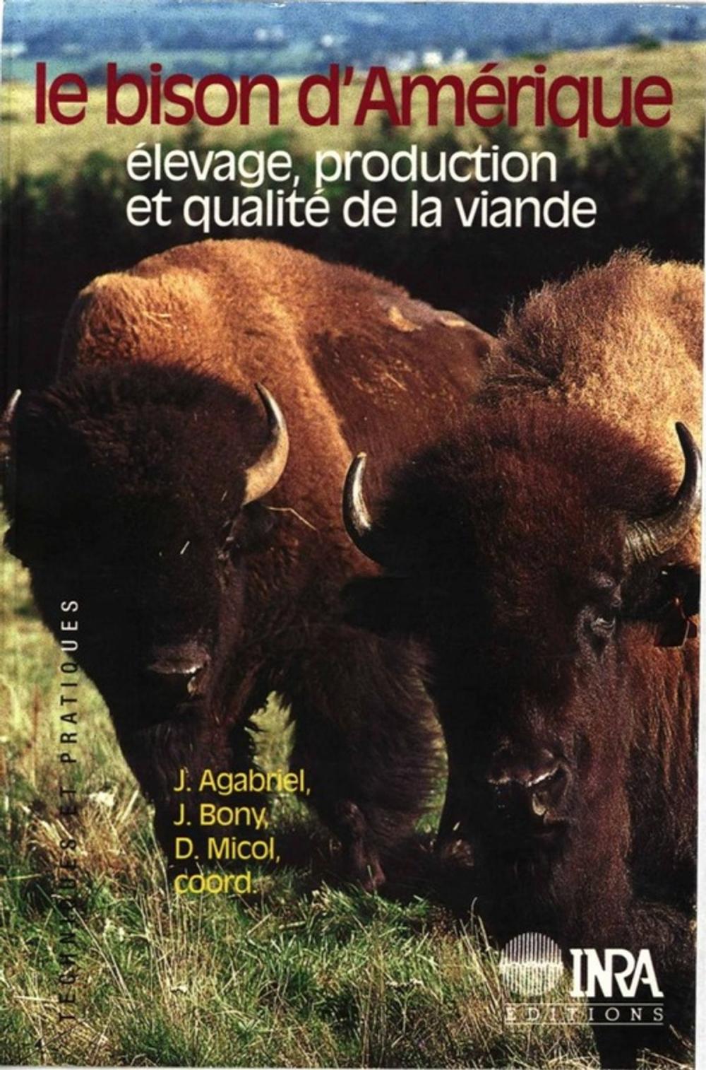 Big bigCover of Le bison d'Amérique