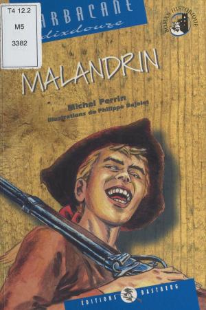 Cover of the book Malandrin by Patrick Guyot