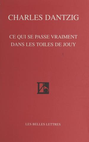 Cover of the book Ce qui se passe vraiment dans les toiles de Jouy by Alexandra Schreyer, Guy Tarade