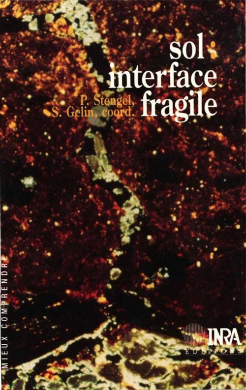 Cover of the book Sol : interface fragile by Sandrine Gelin, Pierre Stengel, Quae