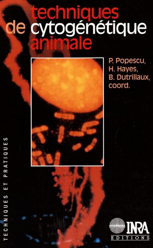 Cover of the book Techniques de cytogénétique animale by Hélène Hayes, Bernard Dutrillaux, Paul Popescu, Quae