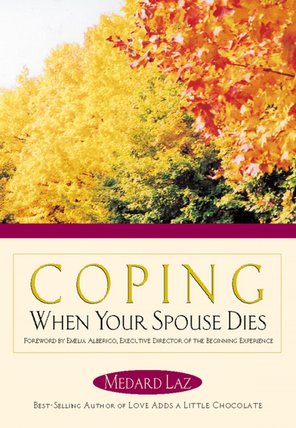 Big bigCover of Coping When Your Spouse Dies