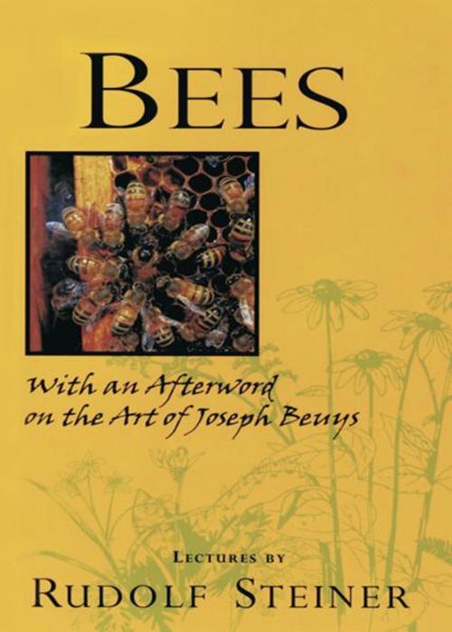 Cover of the book Bees by Rudolf Steiner, Gunther Hauk, SteinerBooks