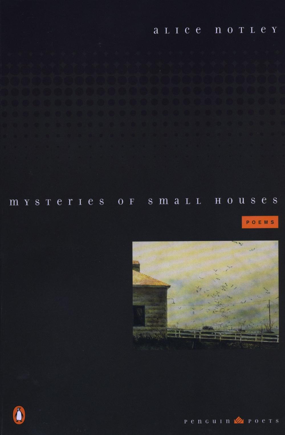 Big bigCover of Mysteries of Small Houses