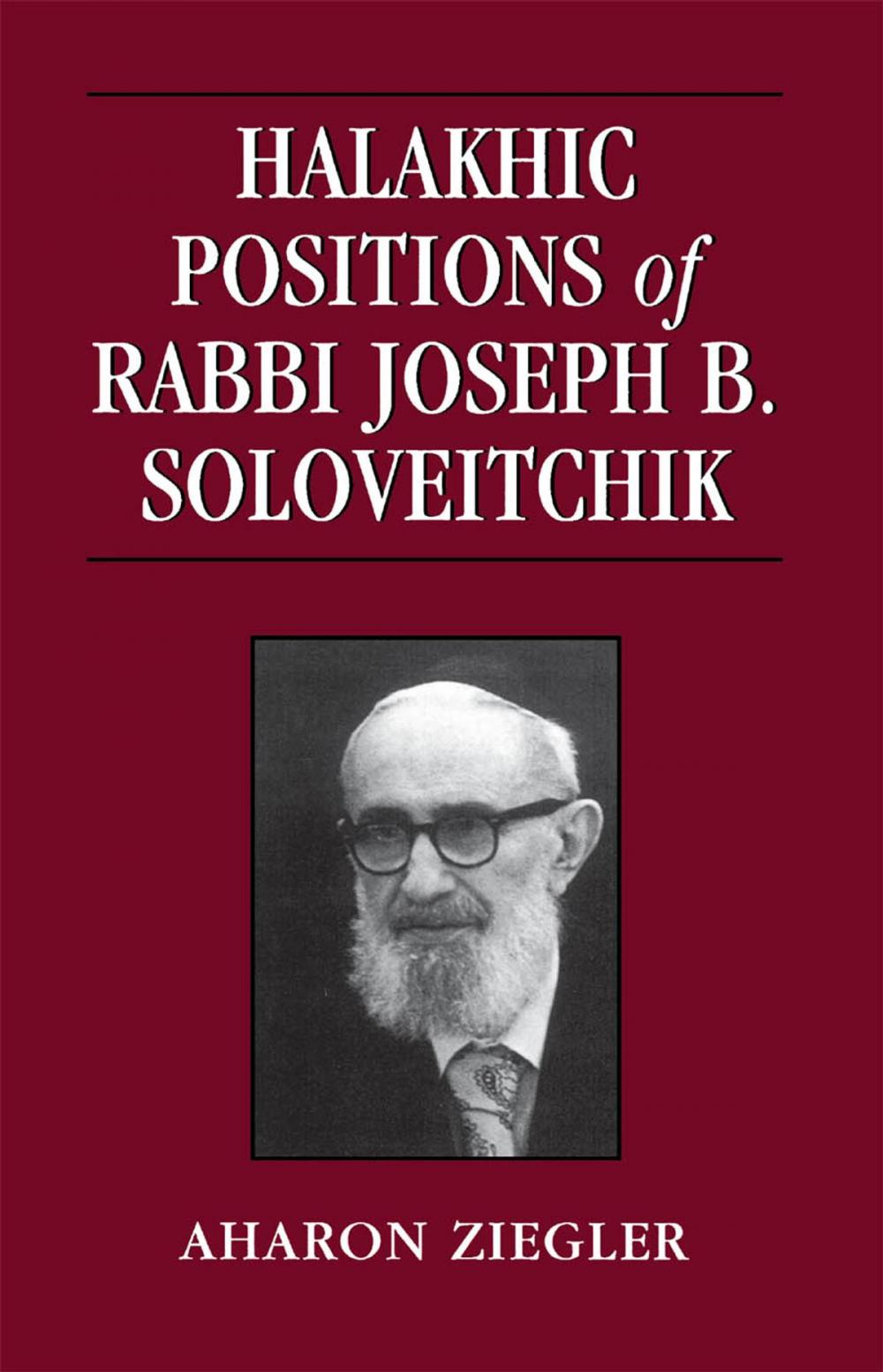 Big bigCover of Halakhic Positions of Rabbi Joseph B. Soloveitchik