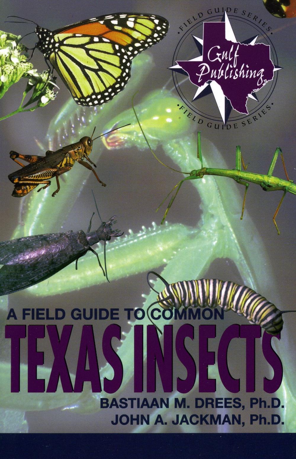 Big bigCover of A Field Guide to Common Texas Insects